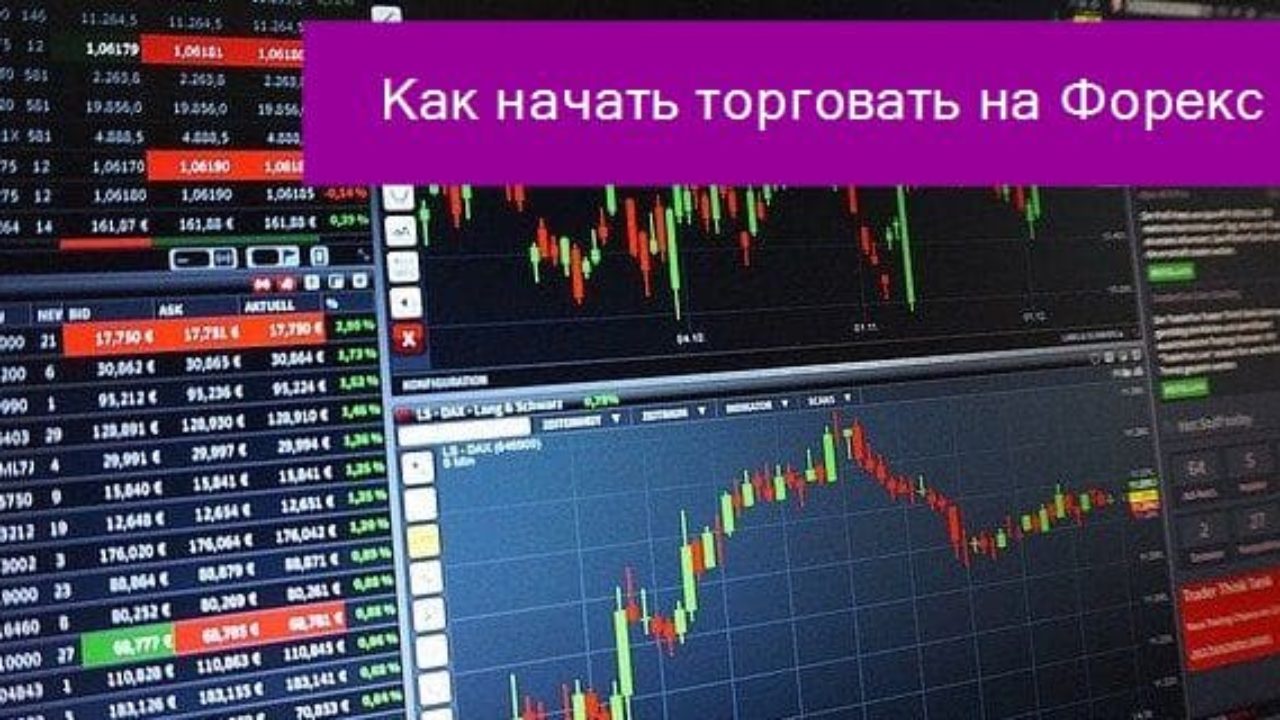 Как начать торговать на Форекс (Forex), базовые правила